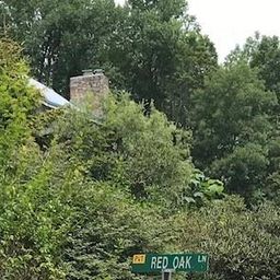 00 Red Oak Lane