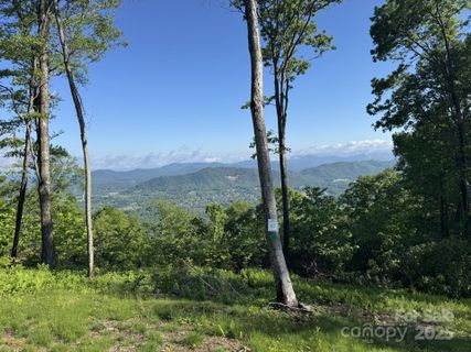 0000 West Garden Trail active home in Sprout, Hendersonville, NC