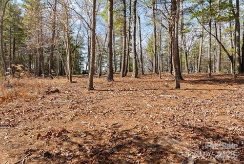 000 Cedar Hill Drive Lot 7
