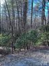 L72 Salola Lane sold home in Brevard, SC