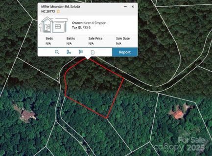 0000 Tbd Miller Mountain Road active home in Miller Mountain, Saluda, NC