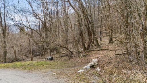 Tbd Live Oak Loop sold home in The Willows, Waynesville, NC