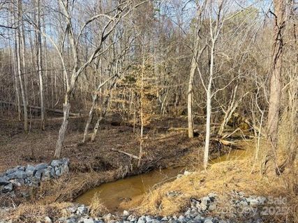 0 Clearwater Parkway active home in Clearwater Creek, Rutherfordton, NC