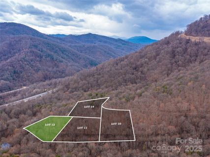 99999 Lovebird Lane sold home in Ashebrook Estates, Candler, NC
