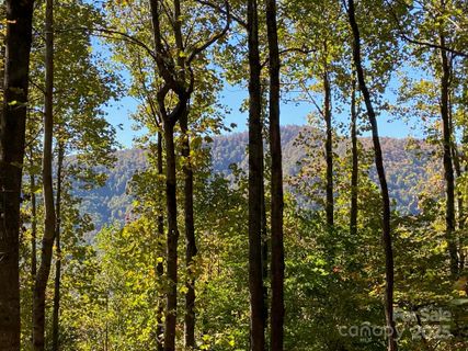 501 Warbler Lane active home in Creston, Black Mountain, NC