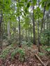 33 Woodglen Court sold home in Flat Rock, SC