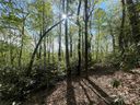 59 Mint Hill Court sold home in Flat Rock, SC
