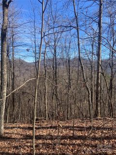 A home in The Ridges At Mountain Harbour, Hayesville