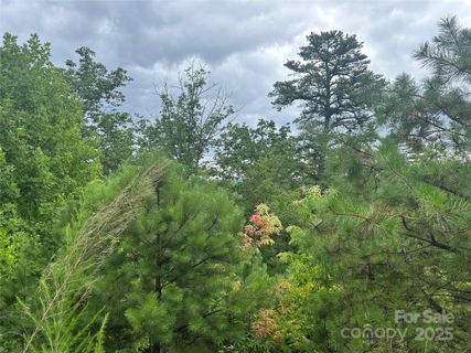 Tbd Lobelia Lane sold home in Blue Ridge Mountain Club, Boone, NC