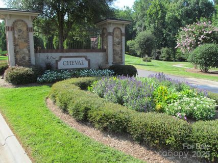 16809 Grande Vineyards Drive sold home in Cheval, Charlotte, NC