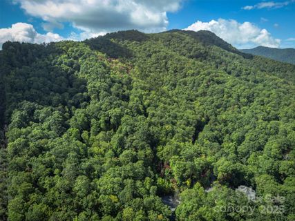 66 Sisters View Drive active home in The Settings Of Black Mountain, Black Mountain, NC