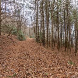 00 Bald Creek Road