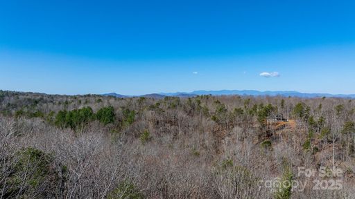 Tbd Dirksen Avenue active home in Blackberry Creek, Nebo, NC