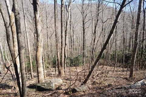 15 Wood Haven Lane