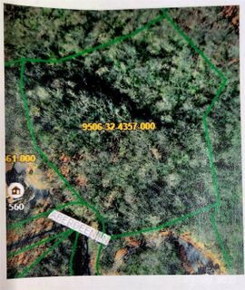 611b Aberdeen Lane active home in Glen Cannon, Pisgah Forest, NC