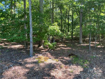 4833 Pimlico Lane sold home in Queens Gate, Waxhaw, NC