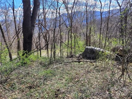 0 Purple Martin Lane sold home in The Willows, Waynesville, NC