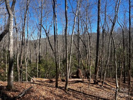 Lot 68 Cherrywood Lane sold home in Stoney Brook, Pisgah Forest, NC