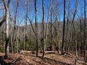 Lot 68 Cherrywood Lane sold home in Pisgah Forest, SC