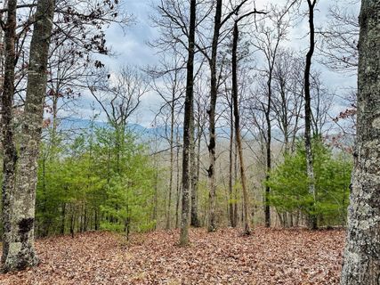 275 Raccoon Run active home in French Broad Crossing, Marshall, NC