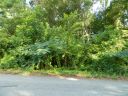 11301 N Hampton Drive sold home in Charlotte, SC