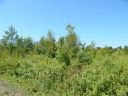 345 Barnwood Drive Lot 13 sold home in Rockwell, SC