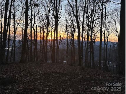 99999 Old Forest Drive sold home in Pinchot Forest, Asheville, NC
