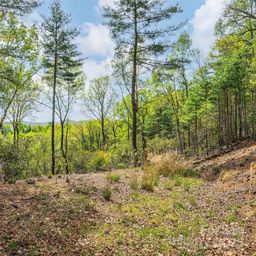Lot 56 Winterberry Drive