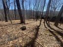 395 Sugar Tree Lane sold home in Mars Hill, SC