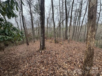 999 Moon Circle 135 sold home in Whiskey Creek II, Brevard, NC