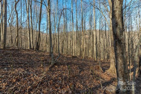 885 Stoney Stream Lane