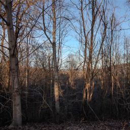 Lot 22 Autumn Ridge