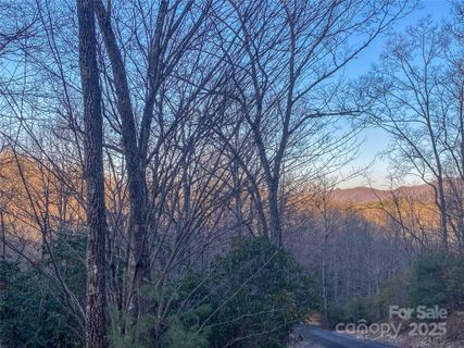 Lot 26 Ridge Trail Drive