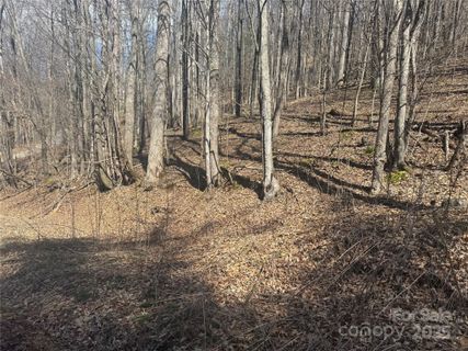 14 Lower Trillium Lane sold home in Trillium Glen, Mars Hill, NC