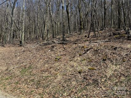 244 245 Grouse Thicket Lane active home in Wolf Laurel, Mars Hill, NC