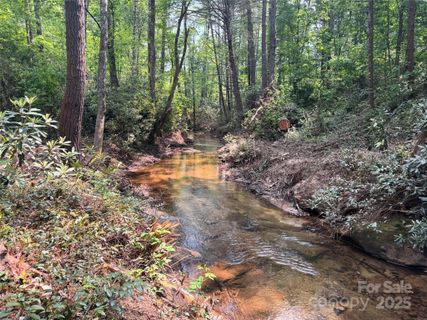 45 Stones Lake Road sold home in Stones Lake, Cedar Mountain, NC