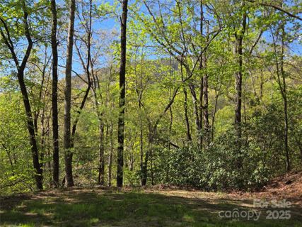 Lot 64 65 Walnut Lane