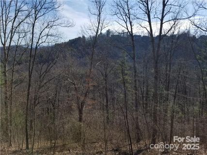 140 Summit Tower Circle active home in Reynolds Mountain, Asheville, NC