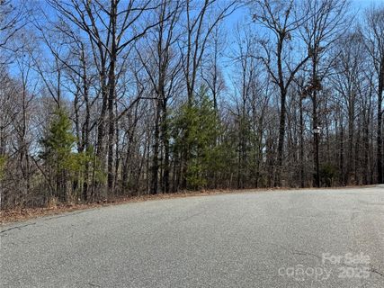 00 Shady Bark Lane active home in Ole Plantation, Rutherfordton, NC