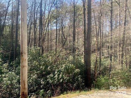 22 Double Creek Road Lot 22 & 25 sold home in Oak Laurel, Brevard, NC