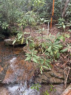 Tract A Cherrywood Lane sold home in Sweetwater Farms, Pisgah Forest, NC