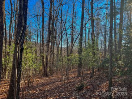 203 Bent Pine Trace 179