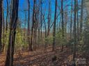 203 Bent Pine Trace 179 sold home in Hendersonville, SC