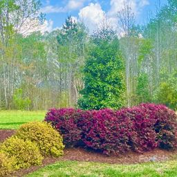 114 Lot Wilharr Court