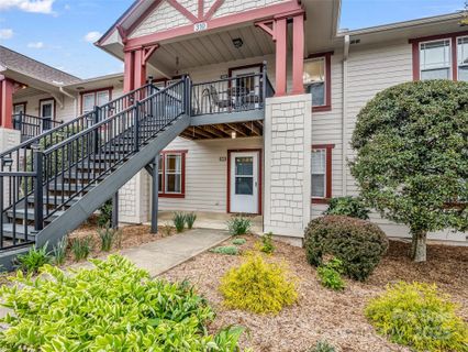 2403 Deermouse Way