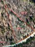 00 Dirksen Avenue sold home in Nebo, SC