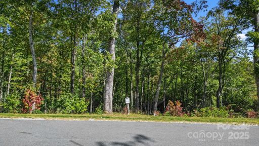 0 Mountain Grove Lane