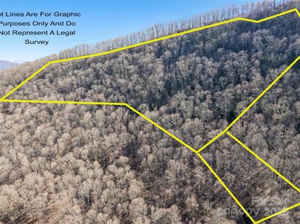 Homes in Apple Creek Acres, Waynesville