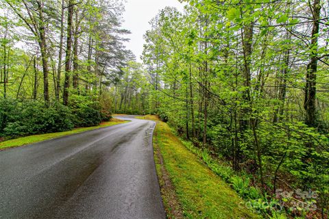 Tbd High Hemlock Trail active home in Mountain Brook, Brevard, NC
