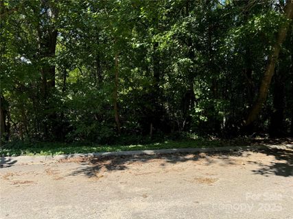 99 Acres Hwy 321 Bypass